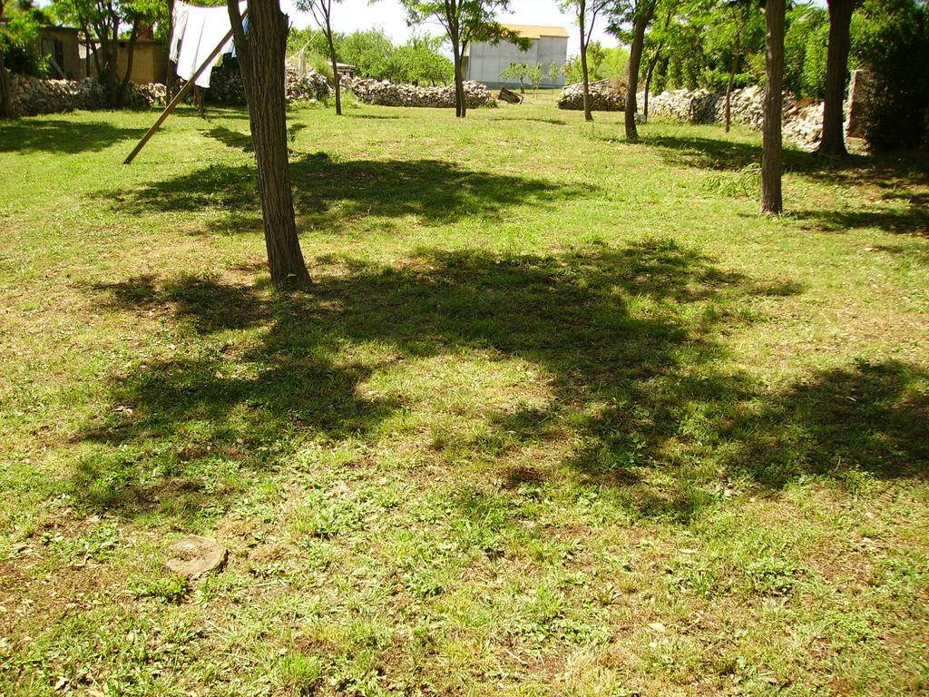 Apartments Anka Privlaka  Kültér fotó