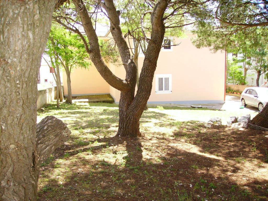 Apartments Anka Privlaka  Kültér fotó